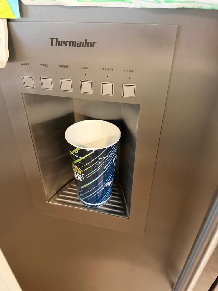 Refrigerator ice and water dispenser panel during a Wesley Chapel service call